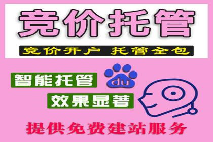 SEM托管代运营案例：提升转化率策略